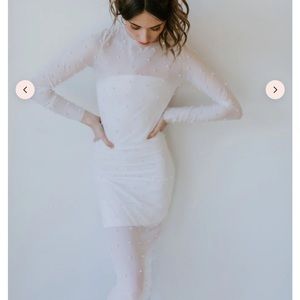 Untamed Petals Pampass Sheer Pearl Bodycon Dress